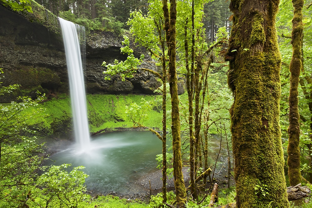 oregon-blog-4