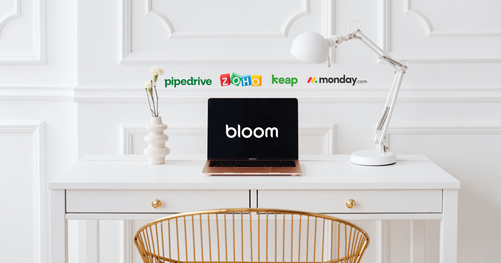 5 CRM Software for Small Business Needs Bloom